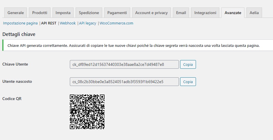systemcloud woocommerce api